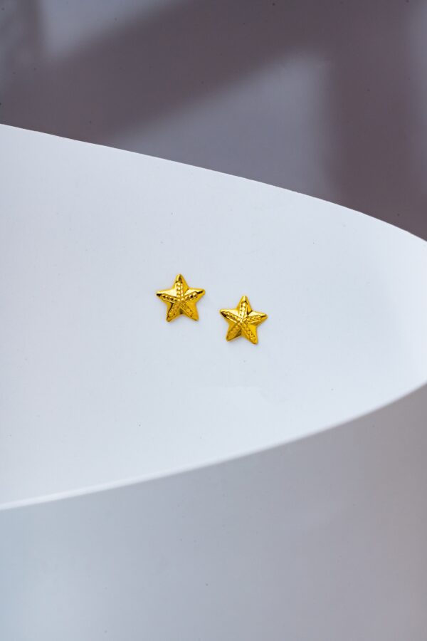 18k Gold Star Earring